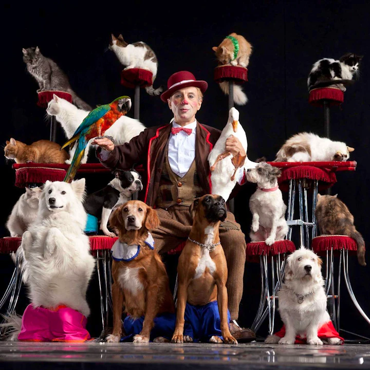 V Theatre Las Vegas – Popovich Comedy Pet Theatre Ticket Price